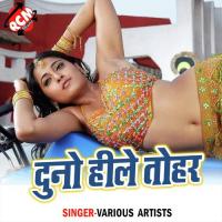 Duno Hile Tohar Vishal Bhatt Song Download Mp3