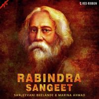 Aamar Raat Pohaalo Sanjeevani Bhelande Song Download Mp3