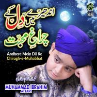 Andharay Mein Dil Ke Muhammad Ibrahim Attari Song Download Mp3