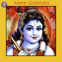 Narayana Suktam (Vishnu) Vighnesh Ghanapaathi,Gurumurthi Bhat,Shridhara Bhat (Vedadhara) Song Download Mp3