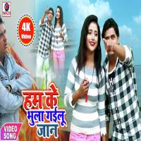 Hamke Bhula Gailu Jaan Rajan Rasiya Song Download Mp3