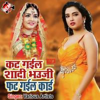 Jhulani Tar Dabai Ke Vijay Sargam Song Download Mp3