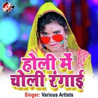 Holi Me Re Bhauji Arun Arya Song Download Mp3