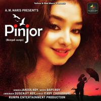 Purano Sriti Mon Theke Tumi Muche Dio Janiva Roy Song Download Mp3