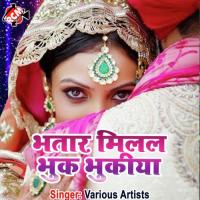 Sara Lave Ka Maitar Rajan Lal Yadav Song Download Mp3