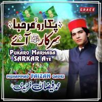 Pukaro Marhaba Sarkar Aye Muhammad Faizan Qadri Song Download Mp3