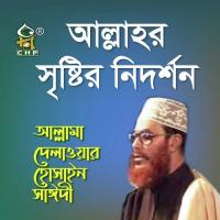 Allahr Sristir Nidorshon (Version 3) Allama Delwar Hossain Sayedee Song Download Mp3