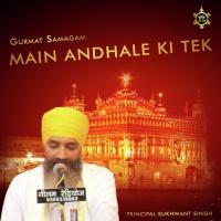 Main Andhle Ki Tek Principal Sukhwant Singh Song Download Mp3