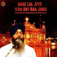 Mere Lal Jeyo Tera Ant Na Jana Bhai Davinder Singh Hazuri Ragi Darbar Sahib Song Download Mp3