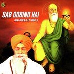 Sab Gobind Hai Bhai Inderjeet Singh Ji Song Download Mp3