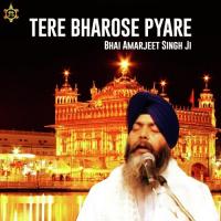 Tere Bharose Pyare Bhai Davinder Singh Hazuri Ragi Darbar Sahib Song Download Mp3