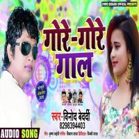 Gore Gore Gaal Vinod Bedardi Song Download Mp3