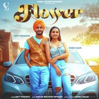 Flower Savy Bhangu Song Download Mp3