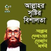 Allahr Sristir Bishalota, Pt. 2 Allama Delwar Hossain Sayedee Song Download Mp3