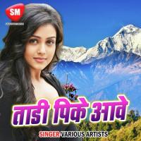 Hota Biyah Bhail Matkori Pankaj Raja Song Download Mp3