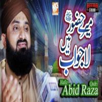 Mere Huzoor Hain Lajawab Hafiz Abid Raza Qadri Song Download Mp3