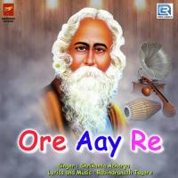 Ore Aay Re Shrikanta Acharya Song Download Mp3