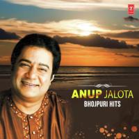 Mai Ke Acharva Mein Charo Dham (From "Maaee Ke Ancharwa Mein Charon Dham") Anup Jalota Song Download Mp3