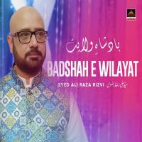 Badshah E Wilayat Syed Ali Raza Rizvi Song Download Mp3