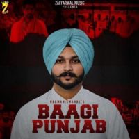 Baagi Punjab Harman Chahal Song Download Mp3