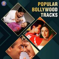 Aapka Makan Bahut Achha Hai Saurabh P. Srivastav,Alka Yagnik Song Download Mp3