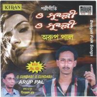 Aami Aamir Hote Arup Pal Song Download Mp3