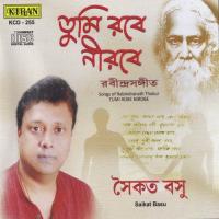 Tumi Robe Nirobe Saikat Basu Song Download Mp3