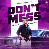 Dont Mess Ellde Fazilka,Peter Dhaliwal Song Download Mp3