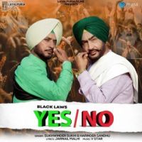 Black Laws Yes No Sukhwinder Sukhi,Harinder Sandhu Song Download Mp3