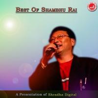 Bidhuwa Ko Chhati Bhitra Shambhu Rai Song Download Mp3