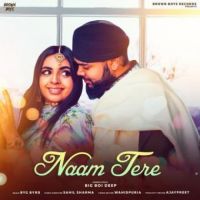 Naam Tera Big Boi Deep Song Download Mp3