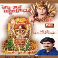 Aarti Pashupatinaath Ji Ki Shiv Kumar Pathak Song Download Mp3