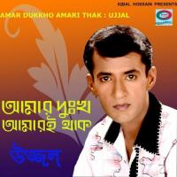 Ami Ful Chailam Ujjal Song Download Mp3