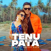 Tenu Ni Pata Guri Song Download Mp3