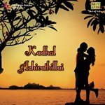 Deerga Sumangali P. Susheela Song Download Mp3