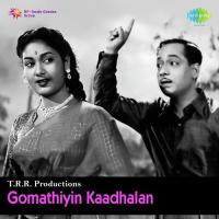 Neelavaana Aadaikkul A.M. Rajah Song Download Mp3