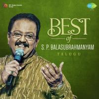 Mouname Nee Bhaasha M. Balamuralikrishna Song Download Mp3