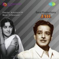 Kalliyaattin S. Janaki Song Download Mp3