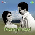 Vellichilanka Aninjum Revival K.J. Yesudas Song Download Mp3