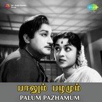 Story And Dialogues Pt. 2 Sivaji Ganesan,B. Saroja Devi Song Download Mp3