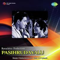 Choosina Choopa S. P. Balasubrahmanyam,P. Susheela Song Download Mp3