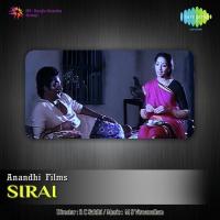 Rasathi Rosapoo Vektam Eno Innum K.J. Yesudas,Vani Jairam Song Download Mp3