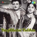 Vennilavae Vennilavae P. Leela Song Download Mp3