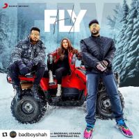 Fly Badshah,Uchana Amit Song Download Mp3