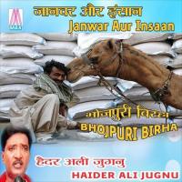 Janwer Aur Insan - 1 Haider Ali Jugnu Song Download Mp3