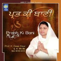 Tu Mero Pyaro Ta Kaisi Bhookha Prof. K. Deep Kaur Ji Song Download Mp3