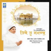 Kaun Wadha Maya Wadeyai Bibi Neeraj Arora Ji Rishikesh Wale Song Download Mp3