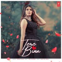 Tere Bina Mannat Noor Song Download Mp3