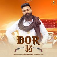 Bor 45 Takharan Da Deep Song Download Mp3