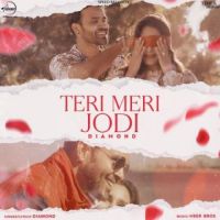 Teri Meri Jodi Diamond Song Download Mp3